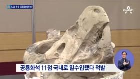 100만 달러 공룡화석’ 몽골로 반환된다