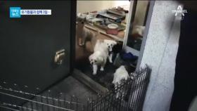 [더하는뉴스]버려지는 ‘가족들’…유기동물과 함께 3일