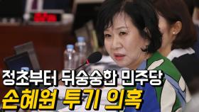 손혜원 차명 부동산 투기 의혹…정초부터 뒤숭숭한 민주당