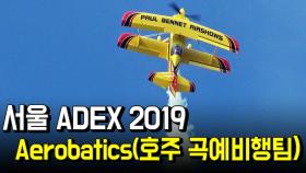 서울 ADEX 2019…호주 곡예비행팀의 경이로운 저공비행