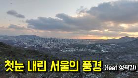 첫눈 내린 서울 성곽길의 눈 덮인 설경