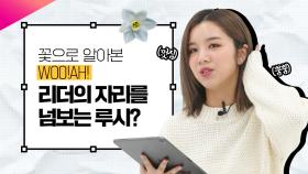 우아 루시 꽃테스트 | 루시는 어떤 꽃?