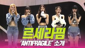 르세라핌(LE SSERAFIM), ‘ANTIFRAGILE’ 소개