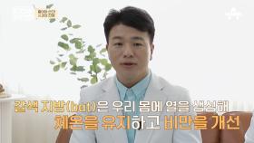 다이어터들은 꼭 챙겨 먹는다는 다이글로메라!