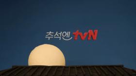 tvN프렌즈와 초록이가 만났다! 즐거운 추석 송편 만들기🥟