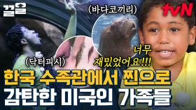 국뽕🔥 외국인을 놀라게 한 한국 수족관 클라스;; 상어에 바다코끼리 공연까지 본 미국 아가의 찐반응ㅋㅋ | 서울메이트3