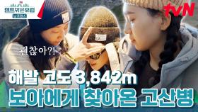 고산병으로 힘들어하는 조보아를 살뜰히 케어해주는 언니들💚 | tvN 240331 방송