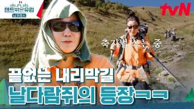 〈히말라야〉 촬영 당시 터득했던 축지법(?) 스킬 쓰는 라미란=33 | tvN 240407 방송