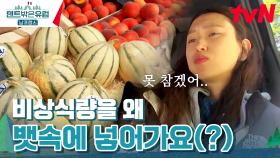 비상식량은 배에 저장하는 거야ㅎ 조식 4차전 때리는(?) 언니들 | tvN 240407 방송