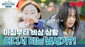 어디서 타는 냄새가.. 가인의 지옥에서 온 달걀찜 #유료광고포함 | tvN 240428 방송