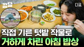 김세정의 리틀 포레스트 같은 일상 대공개🌟 직접 기른 텃밭 작물들로 CLEAN한 아침 한 끼 먹방! | #온앤오프