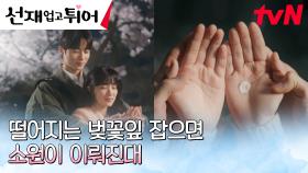 (심쿵 MAX) 변우석X김혜윤, 행복한 둘만의 벚꽃 데이트 💛💙 | tvN 240513 방송