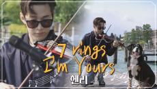 지나가던 강아지까지 사로잡은 헨리의 '7 rings + I'm Yours'