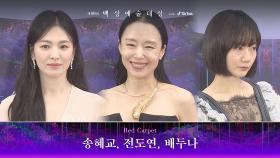 [59회 백상 레드카펫] 송혜교, 전도연, 배두나 | JTBC 230428 방송
