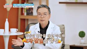 (놀람😱) 관절염이 혈관 질환까지 불러올 수 있다고?! | JTBC 240307 방송