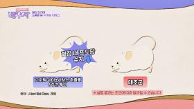 다이어트부터 혈당관리까지 챙겨주는 「시서스」🤩 | JTBC 240319 방송