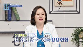 장내 유해균이 많으면 요요도 더 쉽게 온다고? | JTBC 240415 방송