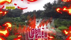 큰 언니는 무서워 큰 언니의 불호령에 각자 할 일 하던 동생들 소환♨