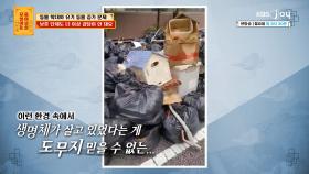 동물 보호 단체 운영하는 그녀가 경험했던 끔찍한 동물 학대 현장... | KBS Joy 240429 방송