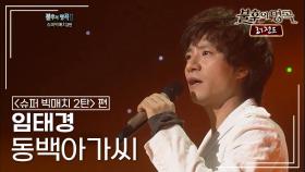 임태경(Im Tae Kyung) - 동백아가씨 | KBS 120107 방송