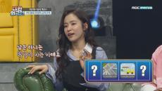 이번에 신설된 ‘4대 불법 주정차 금지구역’은?