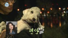 세상 아늑한 성훈의 품에서 편안한 호두 '다정'