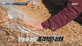 위성 사진으로 확인한 묘의 위치, 사라진 조상 묘의 충격적인 모습, MBC 240321 방송