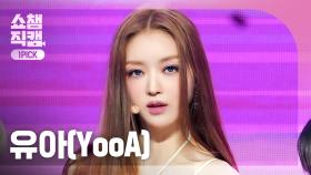 [쇼챔 원픽캠 4K] YooA - Rooftop (유아 - 루프탑) | Show Champion | EP.510 | 240320