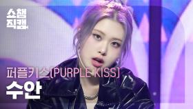 [쇼챔직캠 4K] PURPLE KISS SWAN - Intro : Crush + BBB (퍼플키스 수안 - 크러시+비비비) | Show Champion|EP.511|240327