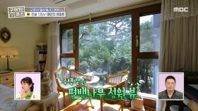 집 안 모든 면이 편백나무 뷰🌳 주택 같은 식사동 대단지 아파트, MBC 240502 방송