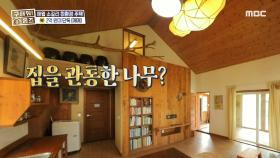 집을 관통한 나무?!🌳 자연의 재료로만 지은 친환경 황토배기 하우스, MBC 240509 방송
