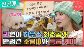 [선공개] 현아의 손길과 취향이 묻어있는 집💒 최초 공개! 반려견 소금이🐶와의 특급 케미❤, MBC 240511 방송