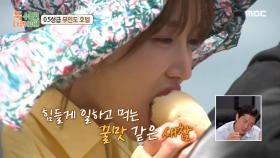 힘들게 일하고 먹는 꿀맛 같은 찐 감자🥔 소금&설탕 콕콕 찍어 한 입❤, MBC 240513 방송