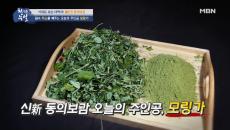 몸속 독소를 빼주는 최고의 해독 식재료, 모링가