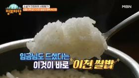 씹을수록 달다! 이천 쌀밥의 매력 속으로 MBN 240513 방송