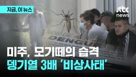 미주, 모기떼의 습격…뎅기열 3배 '비상사태'