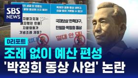 [D리포트] 조례 없이 예산 편성…'박정희 동상 사업' 논란