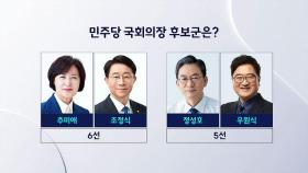 민주당 출신 국회의장 '강성파' 예고…당심, 의원 표심에 얼마나 영향?