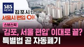 '김포, 서울 편입' 이대로 끝?…특별법 자동폐기 임박