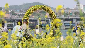 한강공원 유채꽃 '활짝'…주말 쾌청한 봄날씨