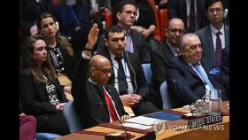 안보리, 팔레스타인 유엔 정회원국 가입안 부결…美 거부권 행사(종합2보)