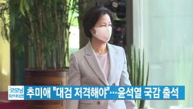 [YTN 실시간뉴스] 추미애 