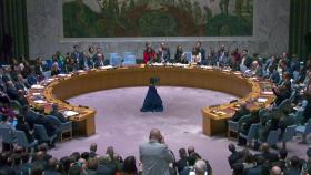 팔레스타인 UN 회원국 가입안 다시 부결...美 '거부권'