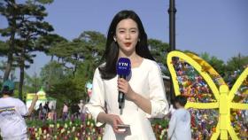 내일 한여름 더위...함평 나비 축제 북적