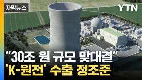 [자막뉴스] 'K-원전' 수출 신화 잇는다...'30조 규모 수주전' 예고