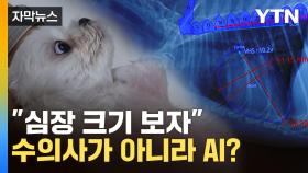 [자막뉴스] 동물 병원에 등장한 AI 기술...