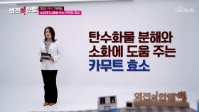 탄수화물 과다 섭취 예방을 돕는 ✨저분자 카무트 효소✨ TV CHOSUN 240412 방송