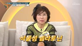 💚식물성 멜라토닌💚 꿀잠과 치매 예방 돕는 수면 호르몬😎 TV CHOSUN 240428 방송