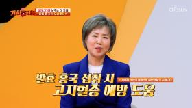 고지혈증을 개선한 그녀의 비결✨ 빨간 쌀 💖발효 홍국💖 TV CHOSUN 240513 방송