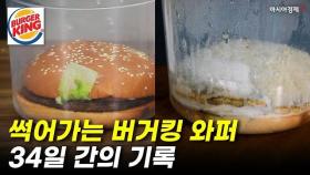 버거킹 와퍼가 썩어가는 34일 간의 기록